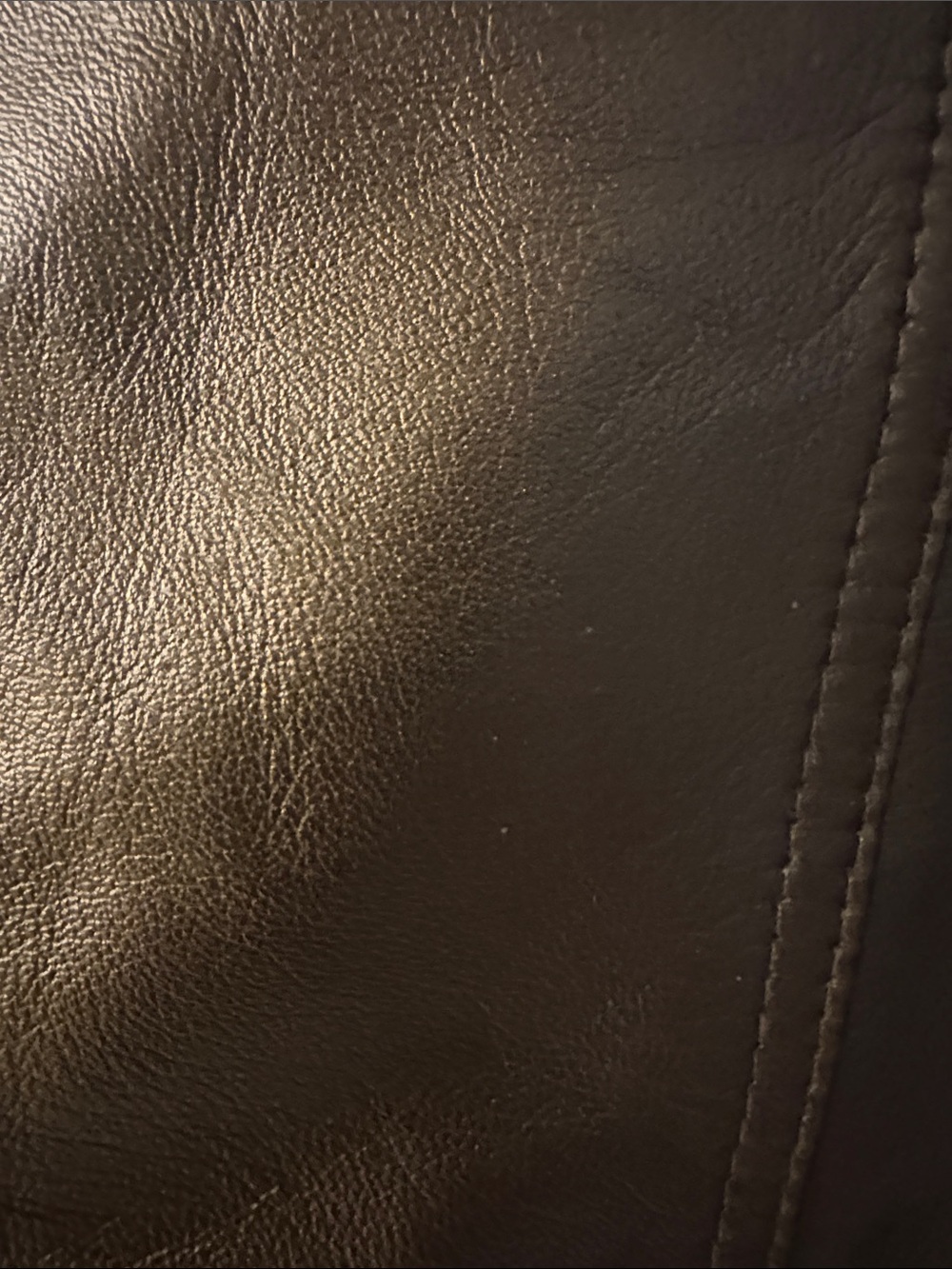 Cache Metallic Bronze Leather Button-Front Jacket - Picture 9 of 11